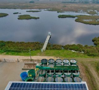 Planta de Tratamiento de Agua Compacta- PTA